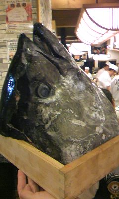 maguro.jpg